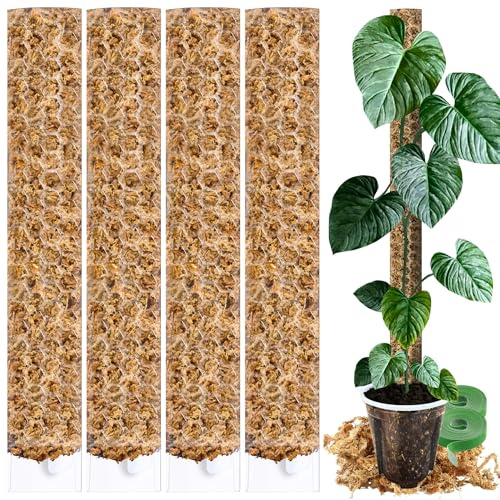PlantScraper Tutore in Muschio XL per Monstera 4 Pezzi 63 x 9,5 cm - Supporto Estensibile e Set Accessori - Pali per Piante con Velcro e Substrato Speciale di Muschio - Ottimizzato per Aroidi