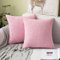 MIULEE 2er Set Kissenbezüge Kordsamt Dekokissen Kissenbezug Sofakissen Dekorativ Couchkissen Kissenhülle Bezug Weich für Wohnzimmer Schlafzimmer 40x40 cm, 16x16 Inch Sakura Rosa
