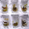 6 teiliges Schnaps Gläser Set - hoch - mit Jagddekor farbig mit Kunstseide 2 cl