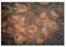 WallArena - Vlies Fototapete Blumen Vintage Retro Rosen Beton Betonwand 416x254 cm - Fototapeten - Tapeten - für Wohnzimmer Schlafzimmer - Vliestapete Wandtapete Tapete 3D Effekt- inkl. Kleister
