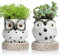 SE SUN-E Macetas para plantas suculentas de riego auto-riego, decoración de búho interior/exterior con depósito de forma de tocón con agujero de drenaje, creación de regalos para mujeres, mamá, mamá,