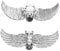 Warmhm 2 Pcs Rhinestone Bridal Shoe Clips Angel Wing Design High Heel Accessories Sparkling Crystal Shoe Buckles for Wedding Decoration Elegant Footwear Jewelry