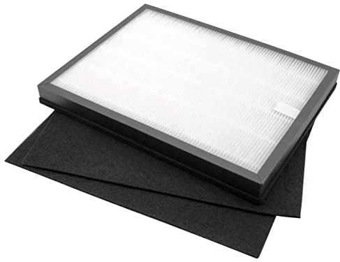 vhbw Set filtri compatibile con Rowenta Intense Pure Air PU2120 - Sostituisce Rowenta XD6040FO, XD6040, H10 (filtri 2x a carbone attivo + 1x HEPA)