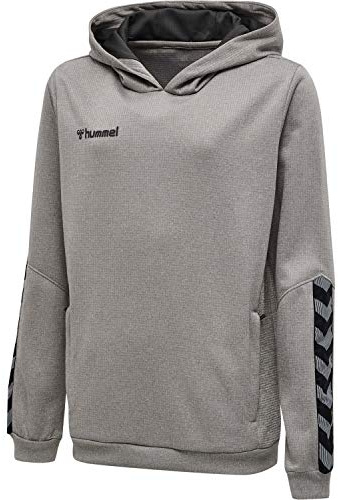hummel Kapuzenpullover Hmlauthentic Kinder