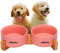 Edipets, Comedero Perro Gato, 400, 800 y 1900 ml, Cerámica, Individual y Doble, Soporte de Bambú Antideslizante, Pequeño Mediano y Grande, 5 Colores (Doble Pequeño, Rosa)