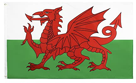 ANJOR Wales-Flagge, 90 x 152 cm, walisische Flaggen mit Messingösen, 90 x 152 cm