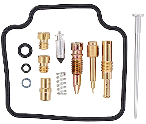 Vergaser Reparatursatz Umbausatz Motorrad Dichtung Vergaserdichtsatz Schwimmerkammer Hauptdüse Nadelventil Nadel Gemischschraube Motorradvergaser Reparatur Satz für Honda NX 650 Dominator 1995-2000