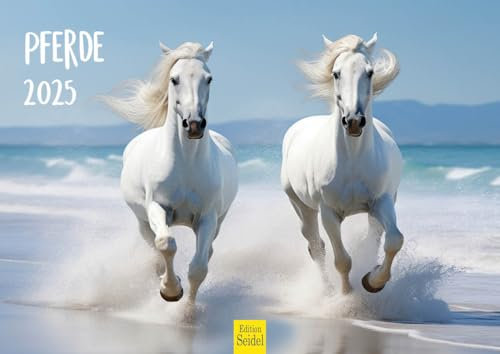 Edition Seidel Premium Kalender Pferde 2025 Format DIN A4 Wandkalender Pferdekalender Pferd Tiere Fohlen Stute Hengst Pony