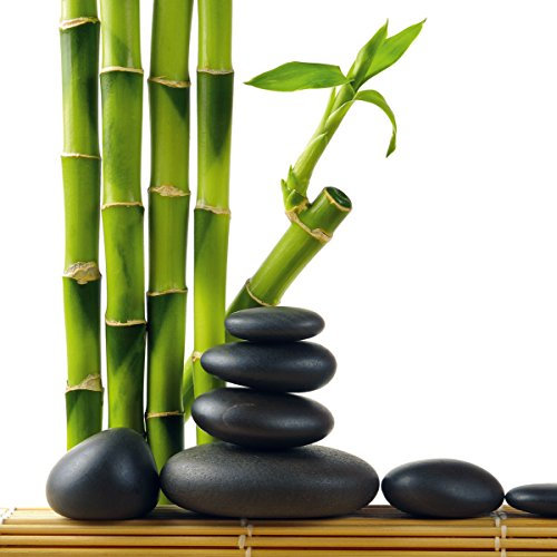 Eurographics DG-DT4085 Glasbild Deco Glass Lucky Bamboo 30 x 30 cm