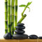Eurographics DG-DT4085 Glasbild Deco Glass Lucky Bamboo 30 x 30 cm