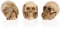 mtb more energy Deko Totenkopf Figuren ''Nichts Hören, Nichts sehen, Nichts Sagen'' - Set aus 3 Totenschädeln - Höhe 5.5 cm - Dekoration Wohnen Tischdeko