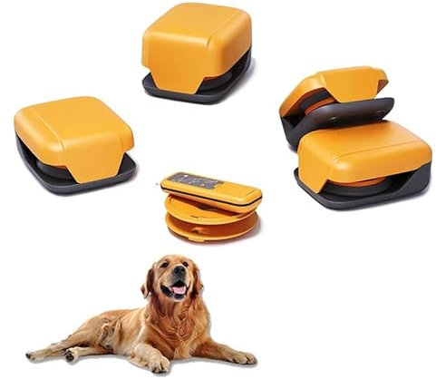 Macchina da corsa con esca per cani,Giocattoli interattivi per cani,Giocattoli per caccia di animali domestici,Attrezzatura per addestramento all'agilità per cani,Giocattolo da caccia telecomandato
