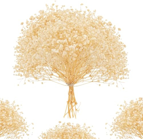 ForestM 100PCS Dried Pressed Flowers, Natural Dried Gypsophila Mini Breath Flowers, Real Natural Dried Flower for Vase, Crafts, Resin Art Mini Mixed Floral Set for DIY, Scrapbooking, Wedding Card