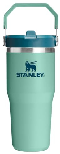 STANLEY Classic IceFlow Stainless Steel Tumbler with Straw, Vacuum Insulated Water Bottle for Home, Office or Car, Reusable Cup with Straw Leakproof