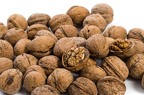 25 kg. Walnüsse in der Schale - roh, unverarbeitet, 100% natur, lecker und gesund