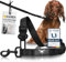 KUINEA® Hundegurt Auto - elastischer Sicherheitsgurt Hund mit Rückdämpfung - für alle Hunderassen&Autotypen - Anschnallgurt Hund Auto - Hunde Zubehör Auto, Hund anschnallen Auto, Hunde Autogurt robust