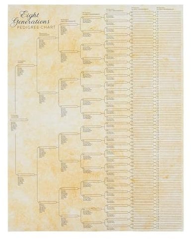 Wmool Stammbaum-Diagramm zum Ausfüllen, kompaktes Stammbaumdiagramm der 8. Generation, blanko Ahnen zum Ausfüllen, Ahnentafel zum Ausfüllen