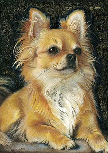 Awesocrafts 5D-Diamant-Kunst-Gemälde, vollständiges Bohrer-Set, Motiv: Chihuahua, Hund, Tiere, DIY, Mosaik, Kreuzstich für Erwachsene und Kinder (Chihuahua)
