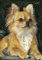 Awesocrafts 5D-Diamant-Kunst-Gemälde, vollständiges Bohrer-Set, Motiv: Chihuahua, Hund, Tiere, DIY, Mosaik, Kreuzstich für Erwachsene und Kinder (Chihuahua)