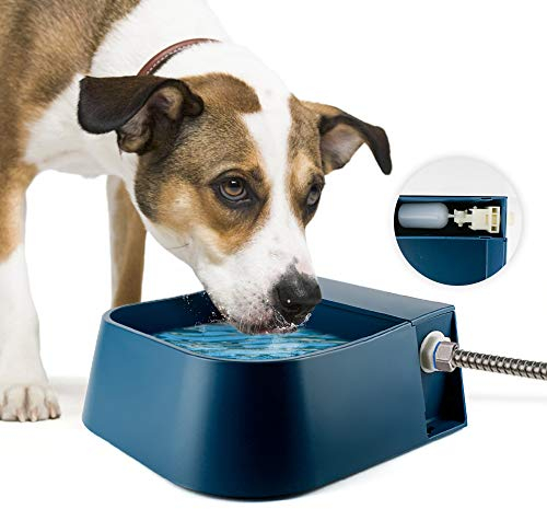 Namsan Abreuvoir de Chien Abreuvoir en Bol Automatique avec Valve À Flotteur pour Chien Cheval Bétail Mouton