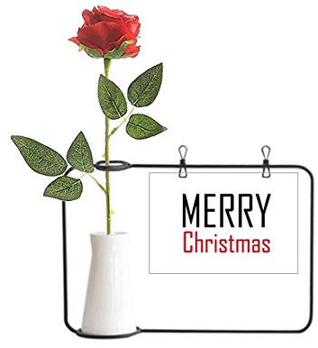 Beauty Gift Celebrar Navidad Festival Vacaciones Artificial Rosa Flor Colgante Floreros Decoración Botella