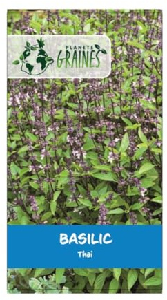 400 graines de Basilic thai - herbe aromatique