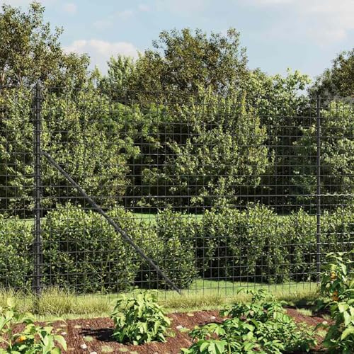 Gecheer Maschendrahtzaun, Verzinkter Stahl mit PVC-Beschichtung, 2x25 m, Anthrazit, für Garten und Tiergehege