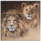 ARTland Wanddeko Leinwand Bilder Wandbild 50 x 50 cm Tiere Wildtiere Raubkatze Malerei Braun A1HA Löwen Porträts