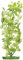 Marina Aquascaper, Aquarienpflanze, Wasserpflanze, aus Kunststoff, Caramine, 30cm