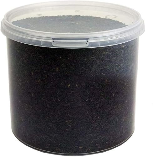 Semi di Niger di GardenersDream - Alimento per Uccelli Selvatici di Alta Qualità ad Alto Contenuto Energetico per i Fringillidi (2.5L)