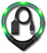 LEUCHTIE® Leuchthalsband Easy Charge für Hunde, USB aufladbar, wasserdichtes LED Halsband, extrem hell, 25h Leuchtdauer, kleine mittlere und große Hunde grün Größe 55