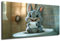 DRO Design Hase Bild 20x30 cm – Lustige Tier-Deko für WC & Gäste-WC – Baby-Tier Kunst für Badezimmer und moderne Wanddeko, Foto, Wanddeko