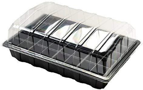 Nutley's Seed Propagator Set, 3 Pack – 40 Cell Seed Tray with Clear Humidity Lid & Base Tray (38x24cm) – Seed Germination Propagation Kit for Seedlings, Plants & Cuttings