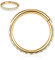 16G Opal Gold Nasenringe Chirurgischer Stahl Septum Clicker Segment Knorpel Unisex Ohrringe Creolen Daith Piercing Schmuck