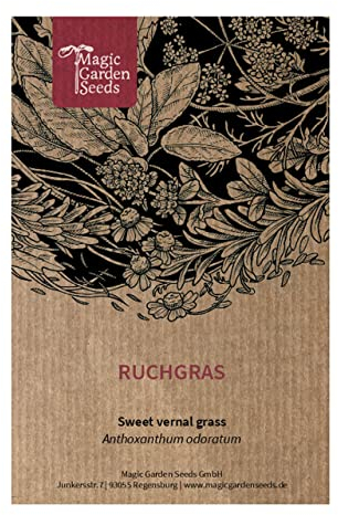 Ruchgras (Anthoxanthum odoratum) - ca. 1000 Samen