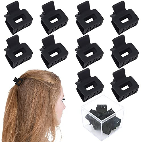 Ahoney Lot de 10 petites pinces à cheveux pour femmes et filles – Mini pinces à mâchoires mates de 2,5 cm pour cheveux fins, épais et moyens, barrettes à forte tenue avec coffret cadeau (noir)