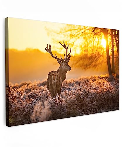 MuchoWow© Wandbilder 90x60 cm Schlafzimmer Home Deko Wohnung Bild Wohnzimmer Fotoleinwand Wand Bilder Leinwand Wall Decor Hirsch - Rotwild - Reh - Tiere - Sonnenuntergang - Winter - Natur