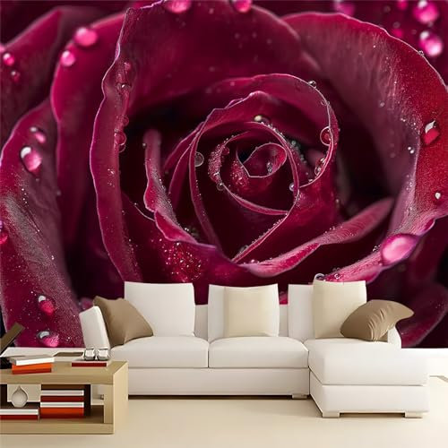 Papier Peint Intissé 400 x 280 cm Thème couple romantique Déco Murale Maison Chambre Salon, Photo Murale Décorative Roses En Fleurs Et Gouttes De Rosée - Pour Jeunesse Enfants