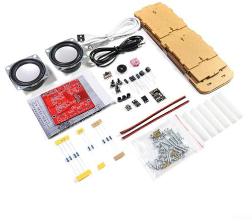 Hasaller DIY-Lautsprecher-Kits, interaktives DIY-Lautsprecher-Set, bauen Sie Ihre eigenen Stereo-Lautsprecher mit USB-Netzteil (ohne Gehäuse)