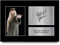 HWC Trading A4 Michael Gambon Harry Potter Albus Dumbledore Gifts gedrucktes signiertes Autogramm Bild für Film-Fans