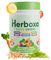Herboxa SUPER GREENS – Erstklassiger grüner Helfer – Enthält Chicoréewurzel, Zink und Chrom – Bananen-Himbeer-Geschmack – 50 Portionen