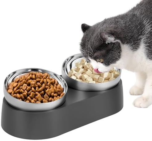 Alaoo Doppelter Futternäpfe Katzenfutte, Fressnapf Katze | -15°Kipphals-Schutzschale Katzenfutternapf Edelstahl Lebensmittelqualität, Futternäpfe Katzen Futter, Futternapf Wassernapf