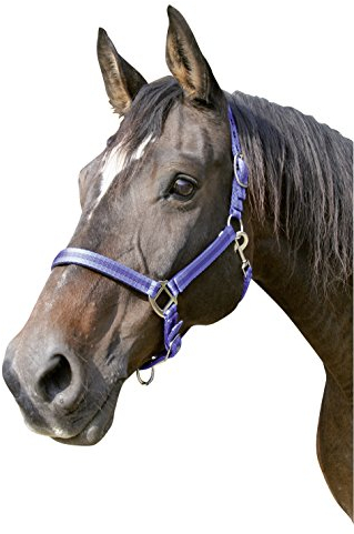 Kerbl Halfter Mustang 2-Fach verstellbar, Blau/Schwarz, 3, 321972