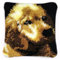 XXXXW DIY Latch Hook Kits Verriegelungshaken Kissen Kit Kreuzstich Machen Sie Sich selbst Kissen Handwerk Canvas Stickerei mit Hundemuster Knotenkissen Knüpfkissen Set (Size : 43x43 cm)