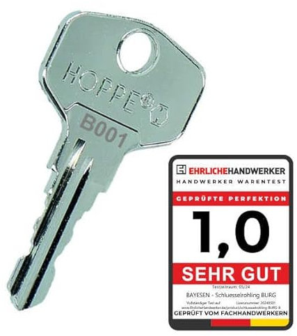 bayesen Ersatzschlüssel Nachschlüssel - Präzise Gefräst & Kompatibel mit BURG-WÄCHTER - Passgenau für Briefkasten, Hebelzylinder, Möbel [Code B098]