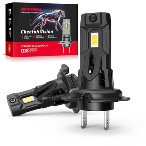MOTORHOOK H7 Scheinwerfer Birne Auto Xenon Weiß | Canbus Fehlerfrei | Ersatz für Halogen für Fern- & Abblendlicht | Plug & Play (5500K, H7)