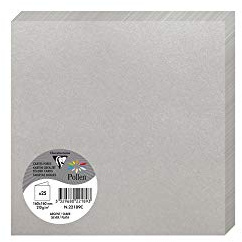 Clairefontaine 22189C Packung mit 25 Doppelkarten Pollen (gefaltet, 16 x 16 cm, 210 g) 1 Pack silber