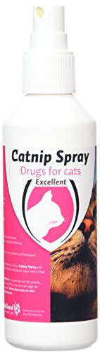Holland Animal Care Excellent - Katzenminze Spray - 1 Stück