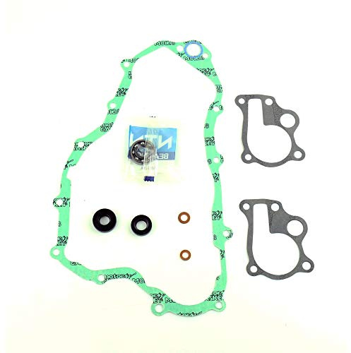 Athena Parts P400210475005 Dichtungssatz für Wasserpumpe, Schwarz