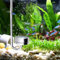 kyaoayo Aquarium CO2 Diffusor, Diffuser Aquarium, aus Edelstahl, CO2 Diffusor Aquarium, professioneller CO2-Verteiler zur Förderung der Gesundheit von Aquarienpflanzen. (30 cm)